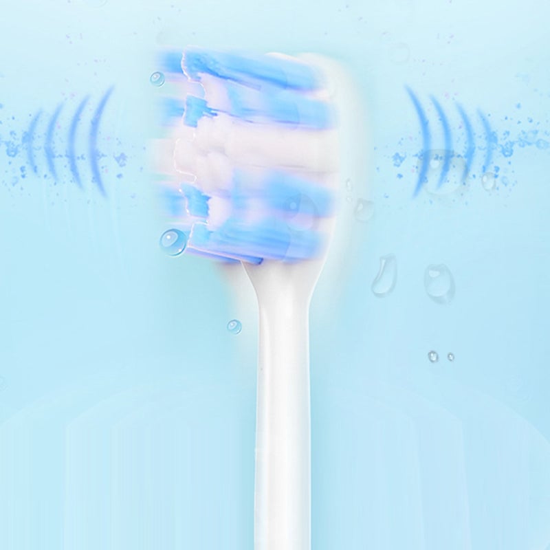 Sonic Electric Toothbrush - 4 Brush Heads & Storage Box - Rechargeable Adult Design | meowbutter