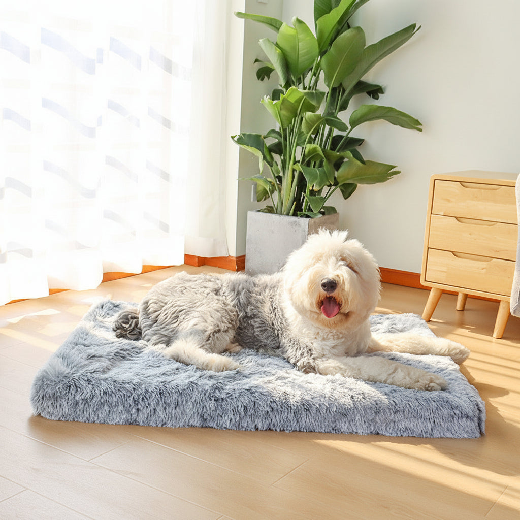 Cama lavável para cães — Rebordo elevado e almofada central para dormir