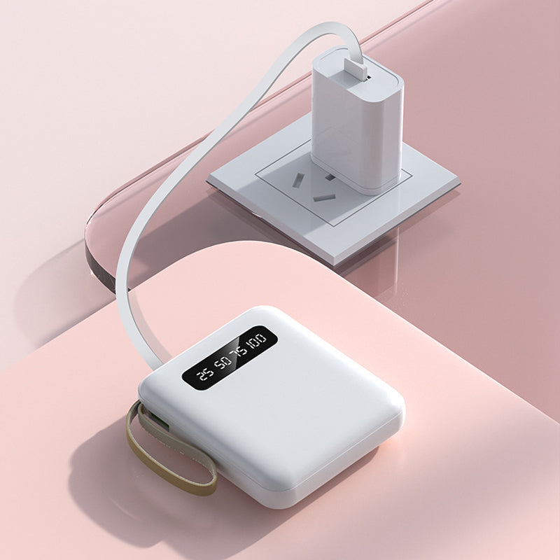 4 az 1-ben Power Bank - USB-C Gyors Töltés - 10000 és 20000mAh - Fekete, Fehér és Lila | meowbutter