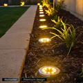 Sena Solar-Powered Pathway Lights for Outdoor Spaces