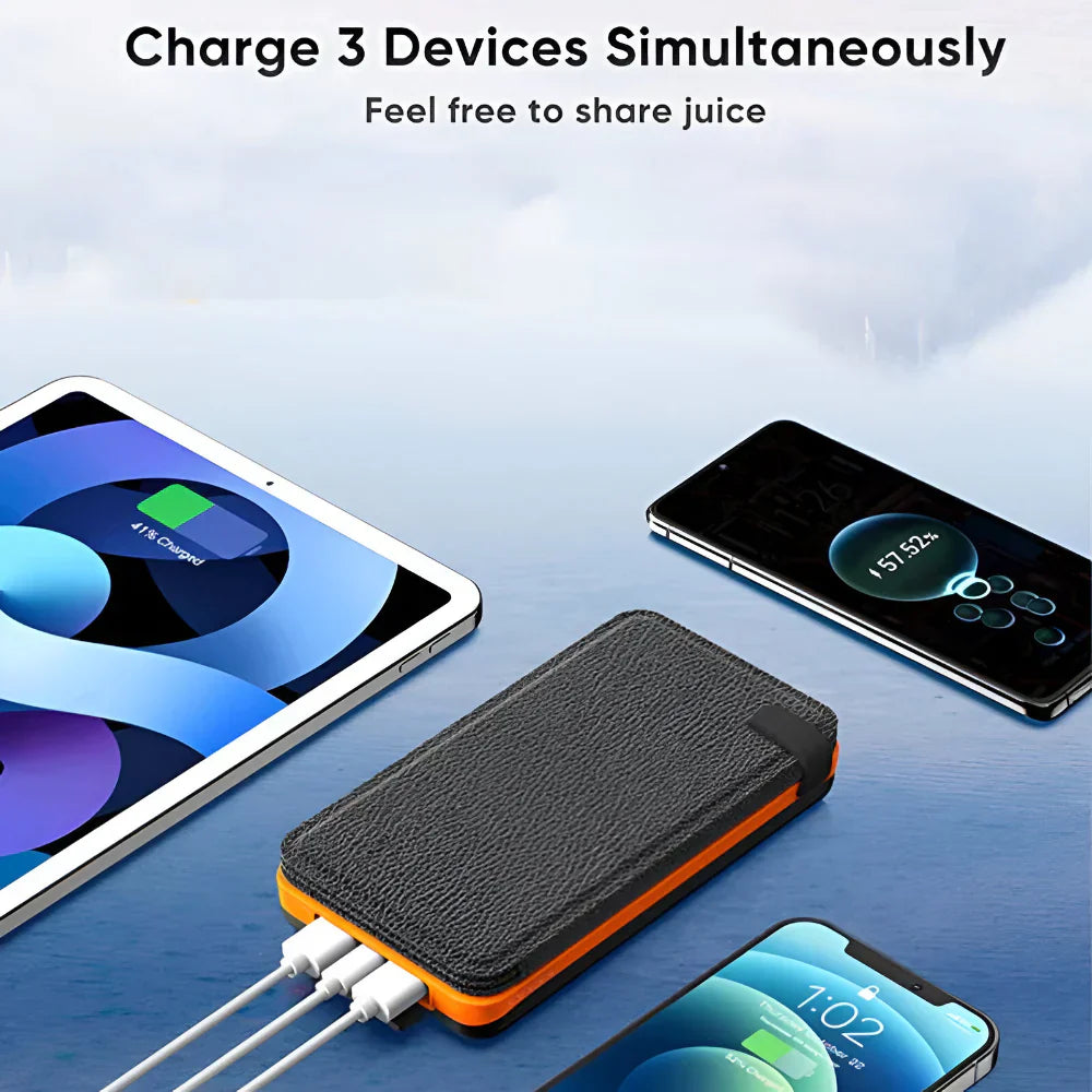 Caricatore Solare Portatile Power Bank con Pannello Pieghevole | Meowbutter