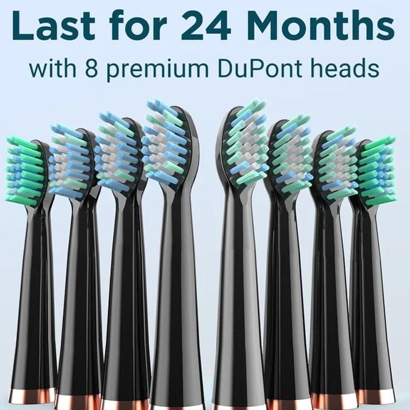 Sonic Electric Toothbrush - 4 Brush Heads & Storage Box - Rechargeable Adult Design | meowbutter