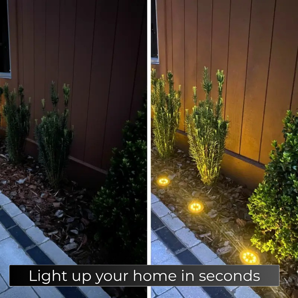 Sena Solar-Powered Pathway Lights for Outdoor Spaces