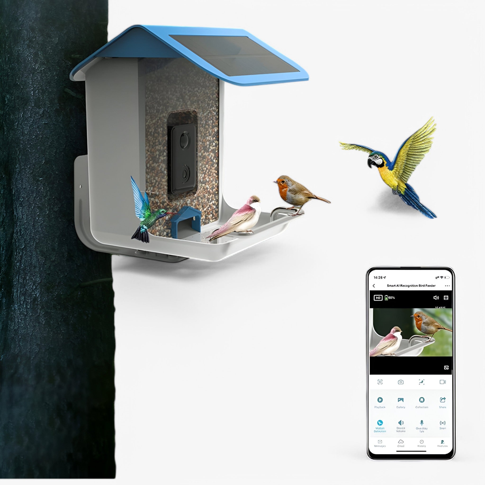 Smart Bird Feeder - 1080P HD Camera - AI Bird Recognition - Solar Powered - WiFi | meowbutter