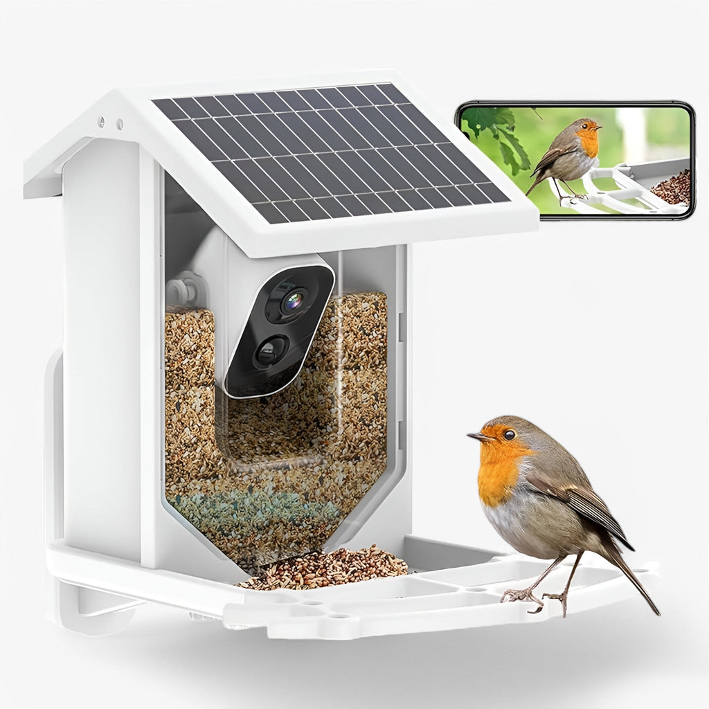 Smart Bird Feeder - 1080P HD Camera - AI Bird Recognition - Solar Powered - WiFi | meowbutter