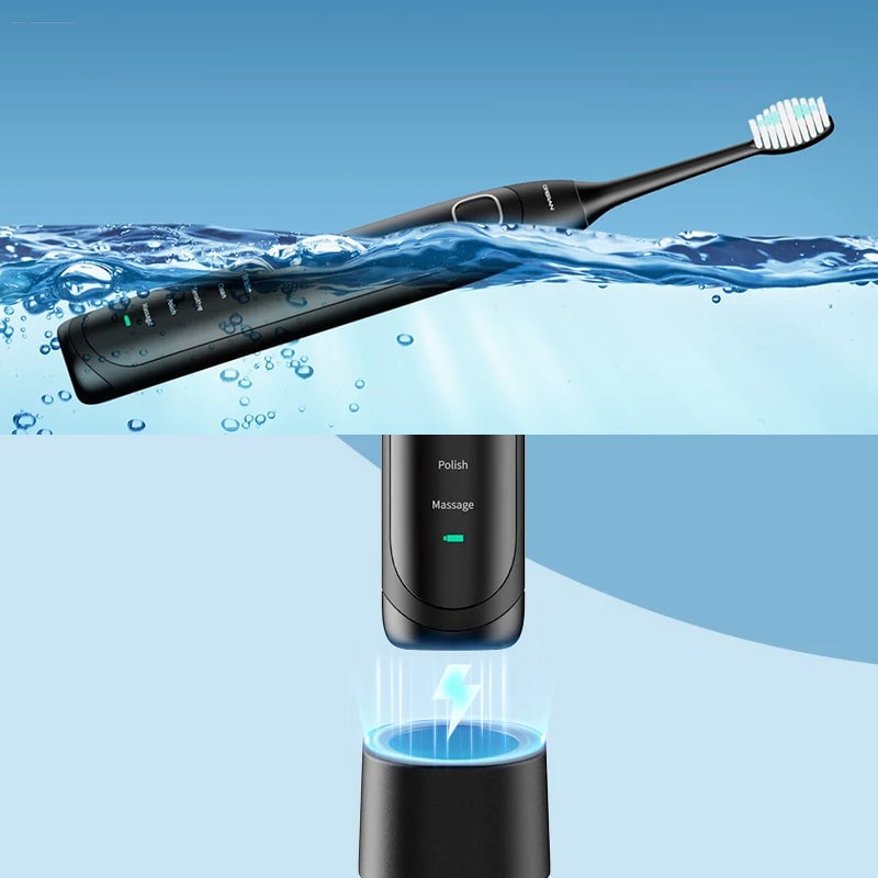 Sonic Electric Toothbrush - 4 Brush Heads & Storage Box - Rechargeable Adult Design | meowbutter