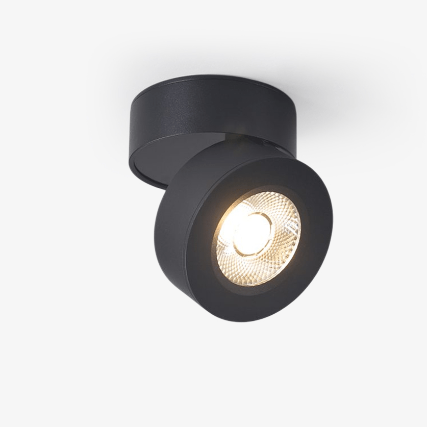 Adjustable Ceiling LED Downlight Metal Rotating Indoor Lighting Fixture
