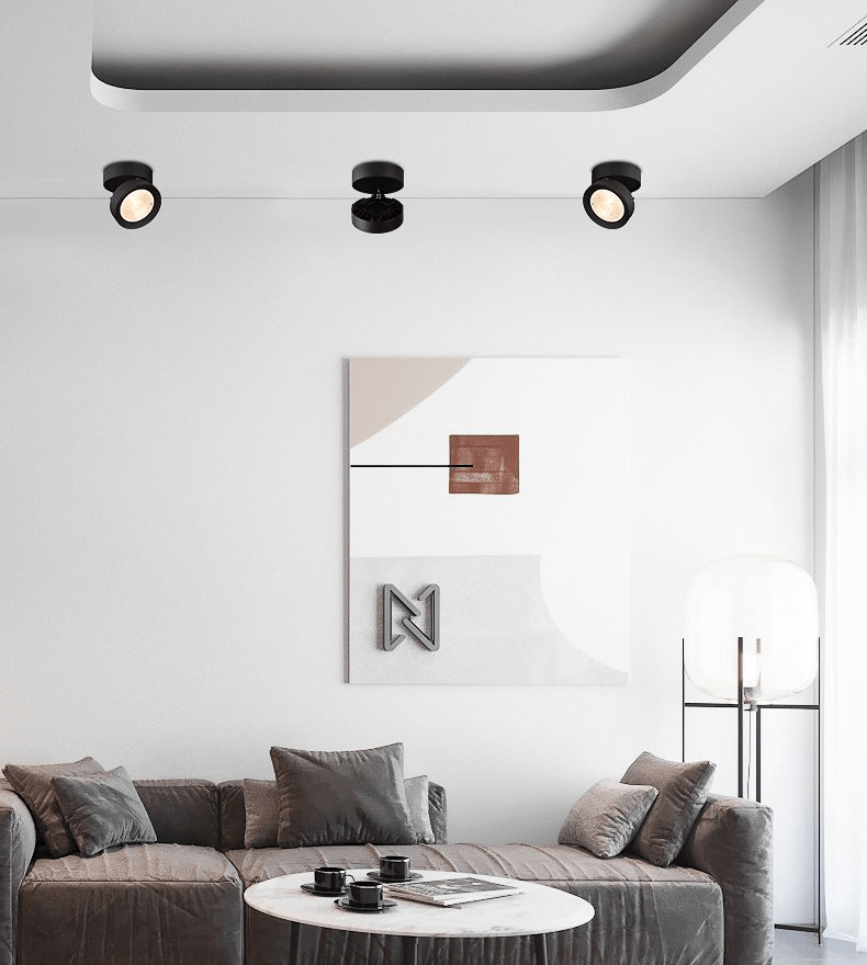 Adjustable Ceiling LED Downlight Metal Rotating Indoor Lighting Fixture