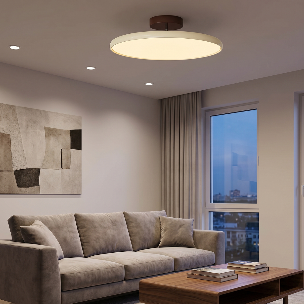 LED Ceiling Light With An Adjustable Circular Flush Mount For Ambience
