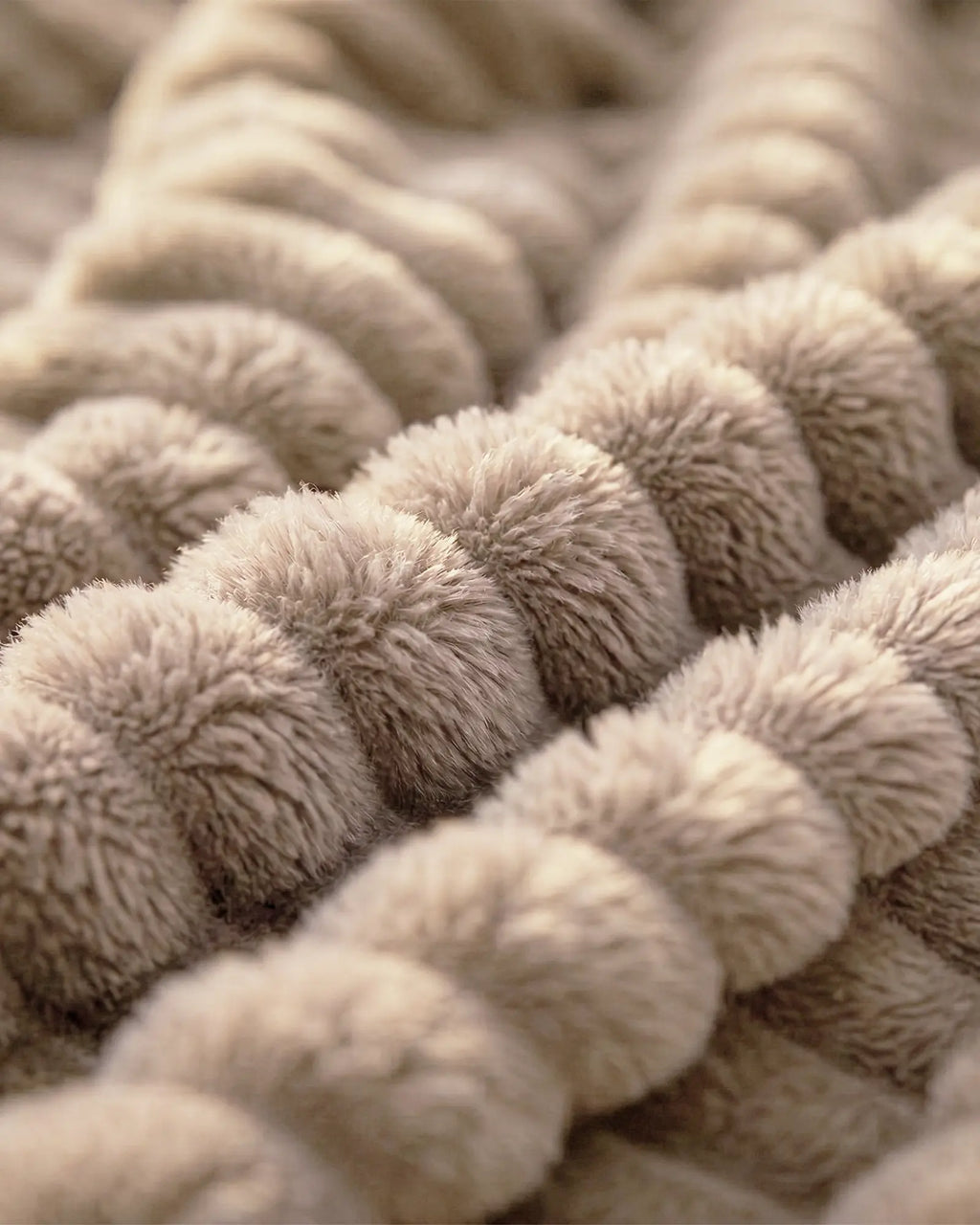 Offerta Originale Coperta in Pile B1G1 Compra Una e Ricevi Una Gratis