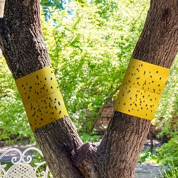 Ulkoilman tarttuva teippi ryömivien hyönteisten torjuntaan | meowbutter