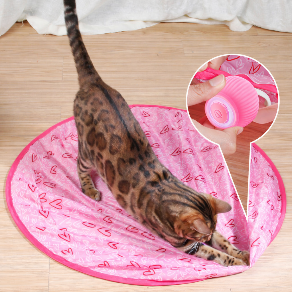 Cat Toy Interactive Rolling Smart Ball Indoor Play | Meowbutter