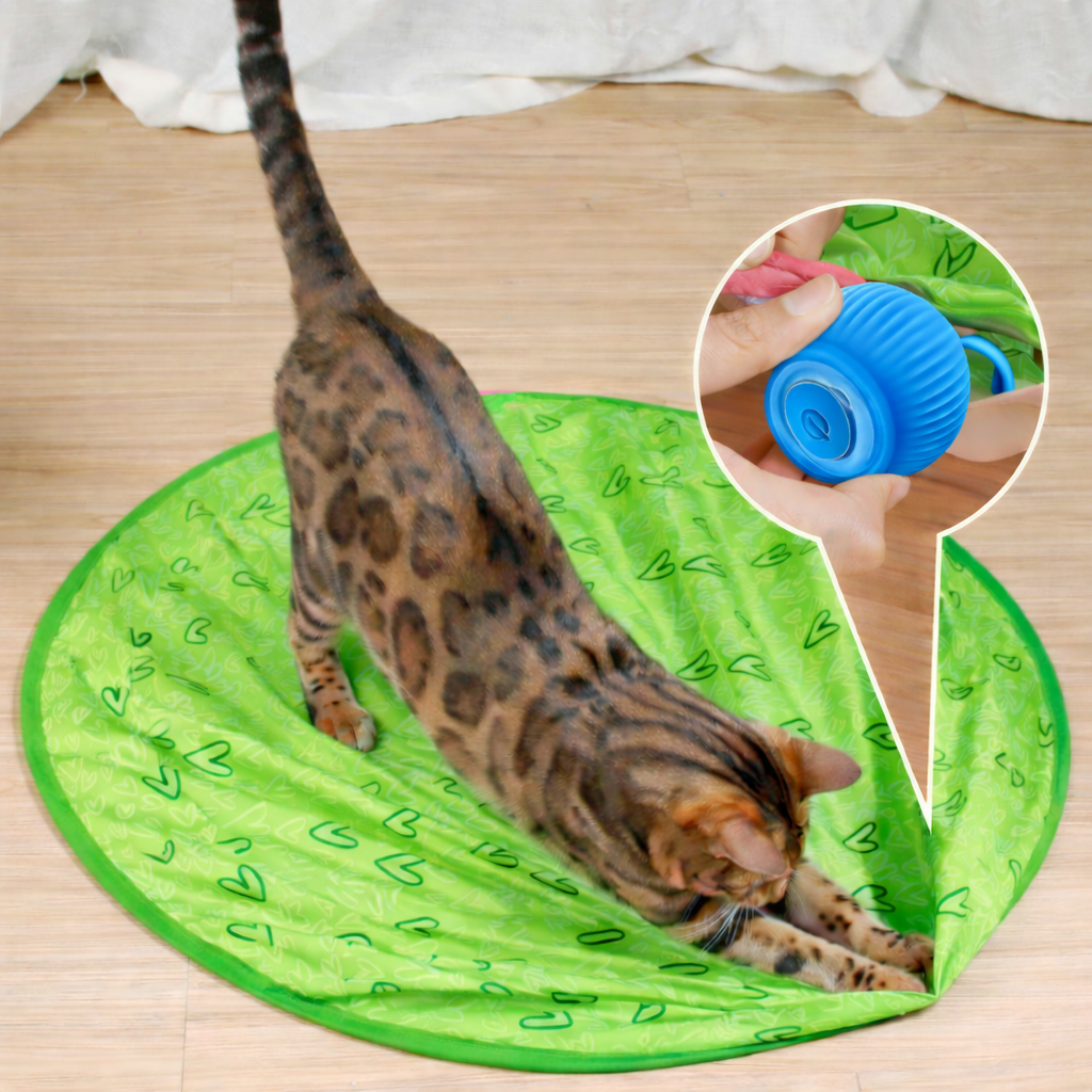 Cat Toy Interactive Rolling Smart Ball Indoor Play | Meowbutter