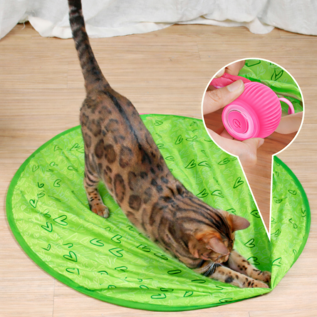 Cat Toy Interactive Rolling Smart Ball Indoor Play | Meowbutter