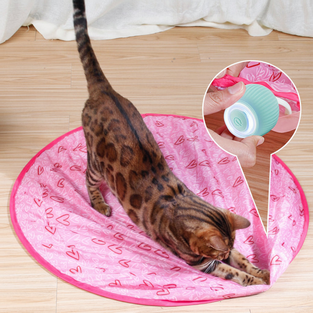 Cat Toy Interactive Rolling Smart Ball Indoor Play | Meowbutter