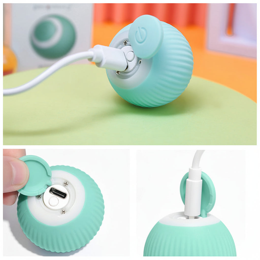 Cat Toy Interactive Rolling Smart Ball Indoor Play | Meowbutter