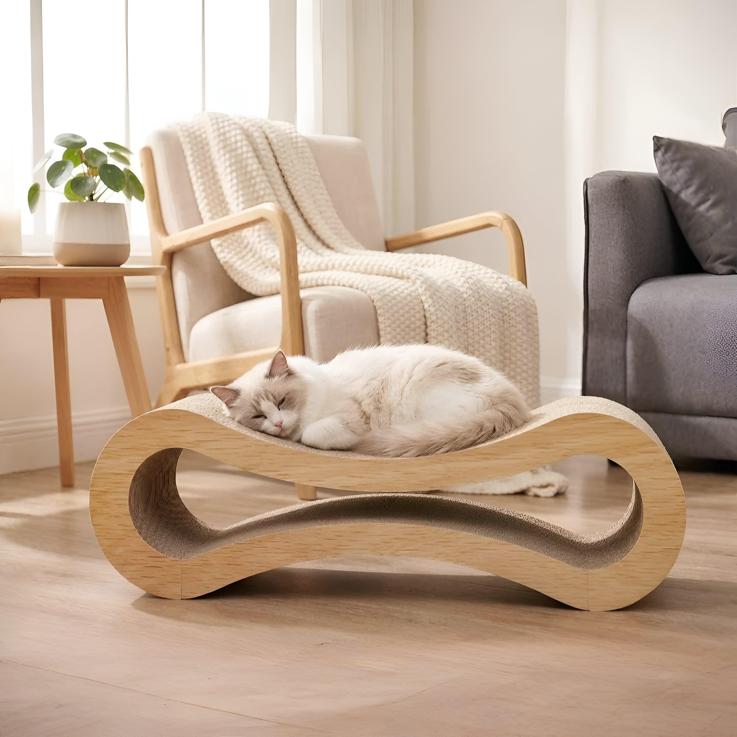 Lettino per Gatti con Grattugia Curva e Poggiartigli | Meowbutter