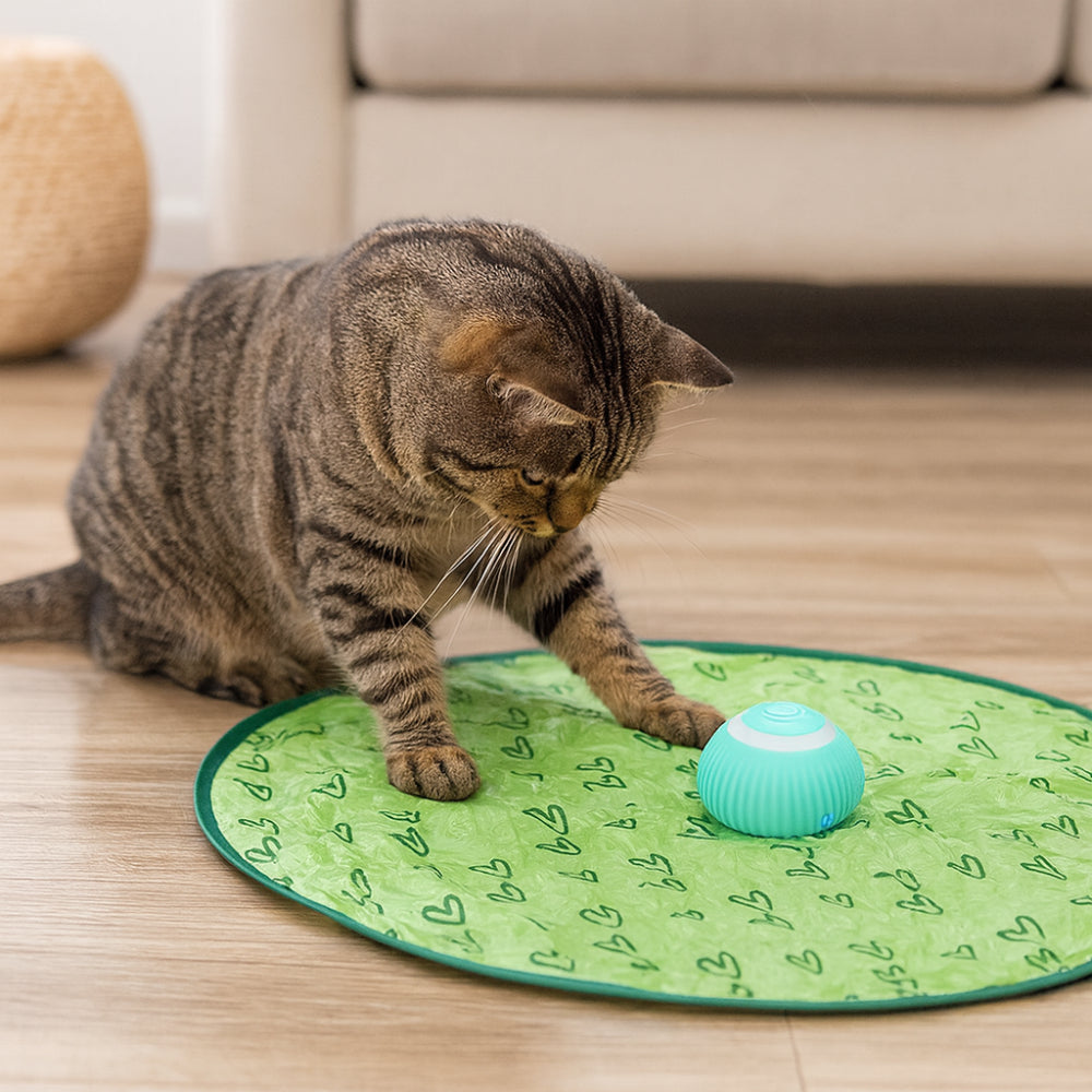 Conjunto de brinquedos interativos para gatos — tapete macio e bola rolante contínua