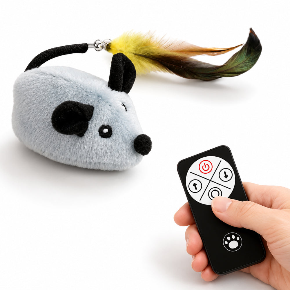 Cat Toy Interactive Toy Remote Control Mouse Chase Toy | Meowbutter
