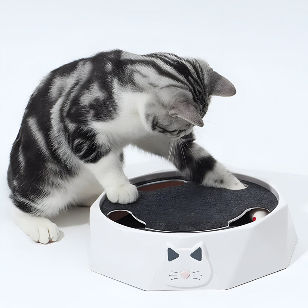 Tapis à griffer pour chat, centre d’activités interactif avec souris | Meowbutter