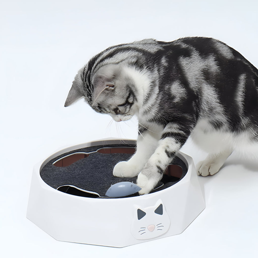 Tapis à griffer pour chat, centre d’activités interactif avec souris | Meowbutter