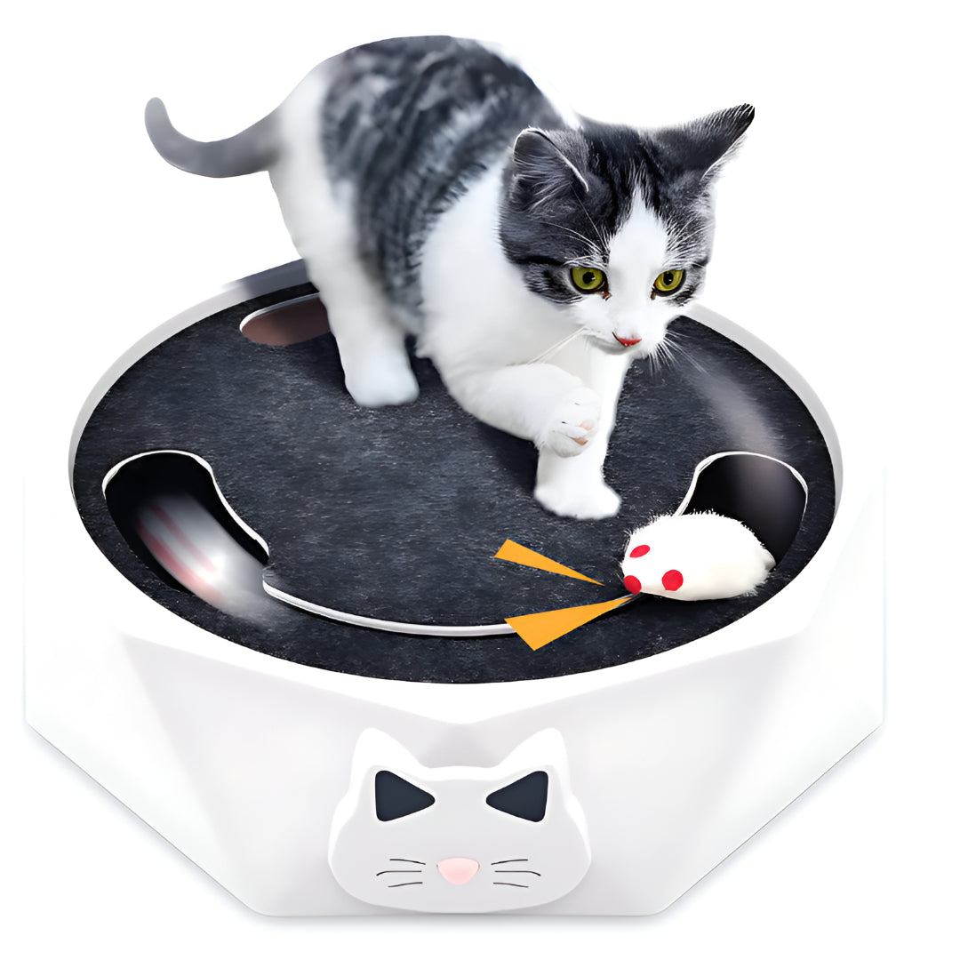 Tapis à griffer pour chat, centre d’activités interactif avec souris | Meowbutter