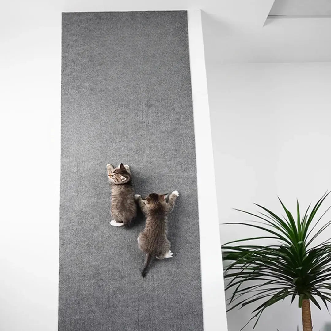 ClawCare tartós, macskabarát bútorvédő alátét