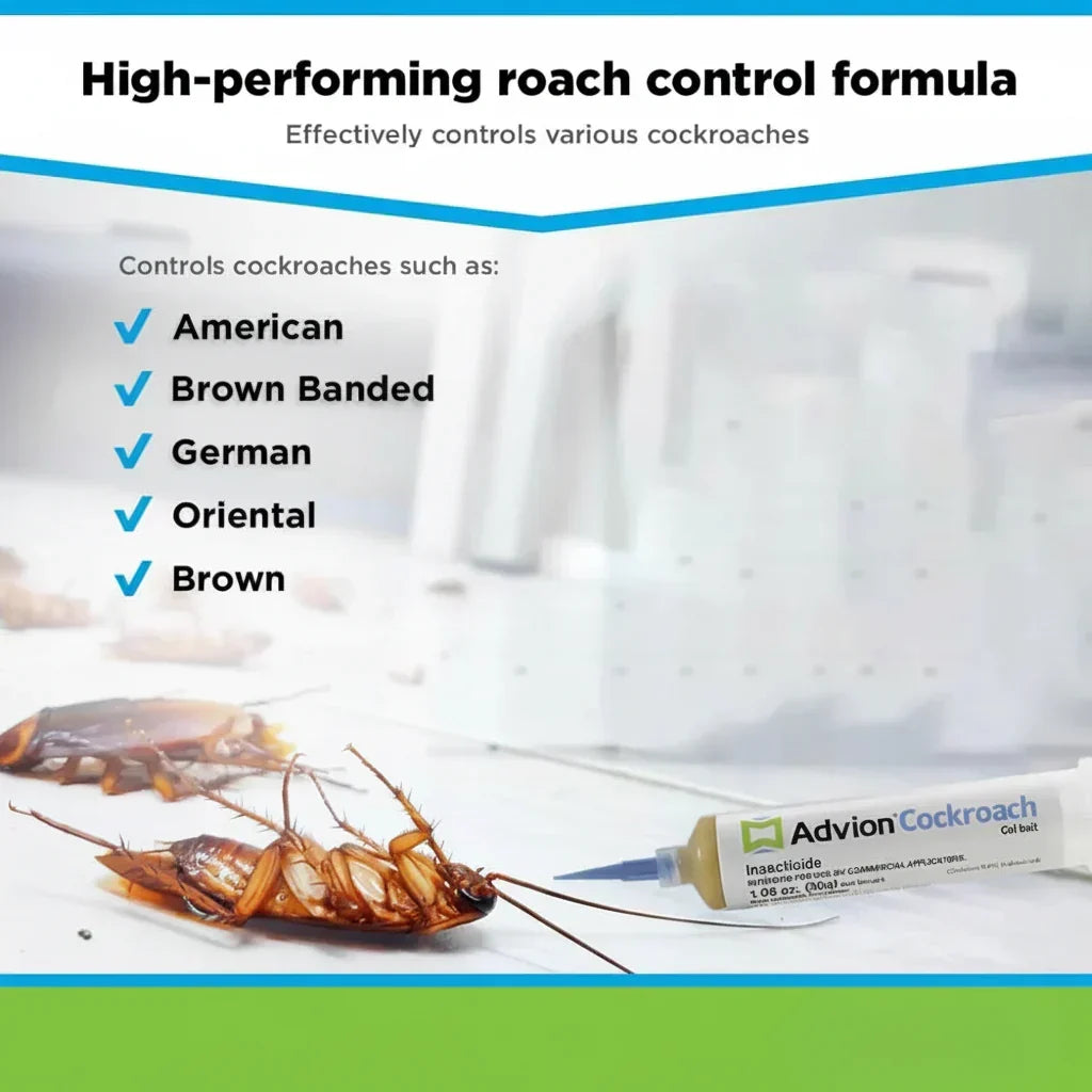Ready-To-Use Cockroach Control Gel Syringe — Precision Nozzle Applicator