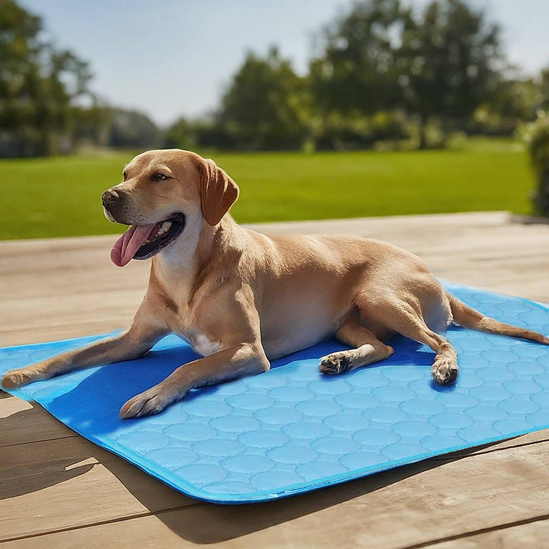 Samochladicí podložka pro psy Comfort Pet — přenosná chladicí podložka, bez potřeby napájení, bez přípravy v mrazáku