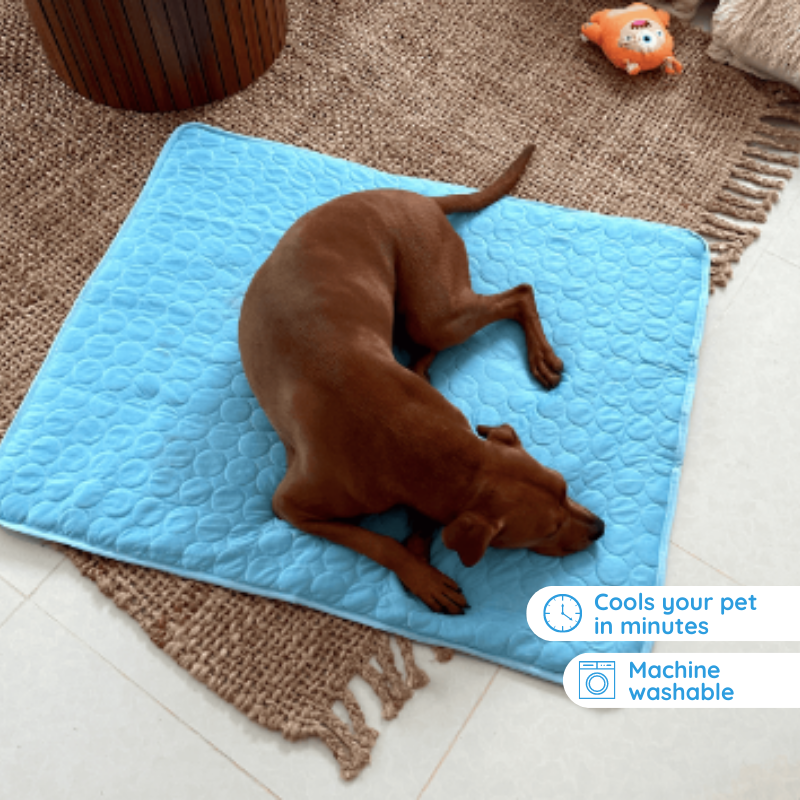 Samochladicí podložka pro psy Comfort Pet — přenosná chladicí podložka, bez potřeby napájení, bez přípravy v mrazáku