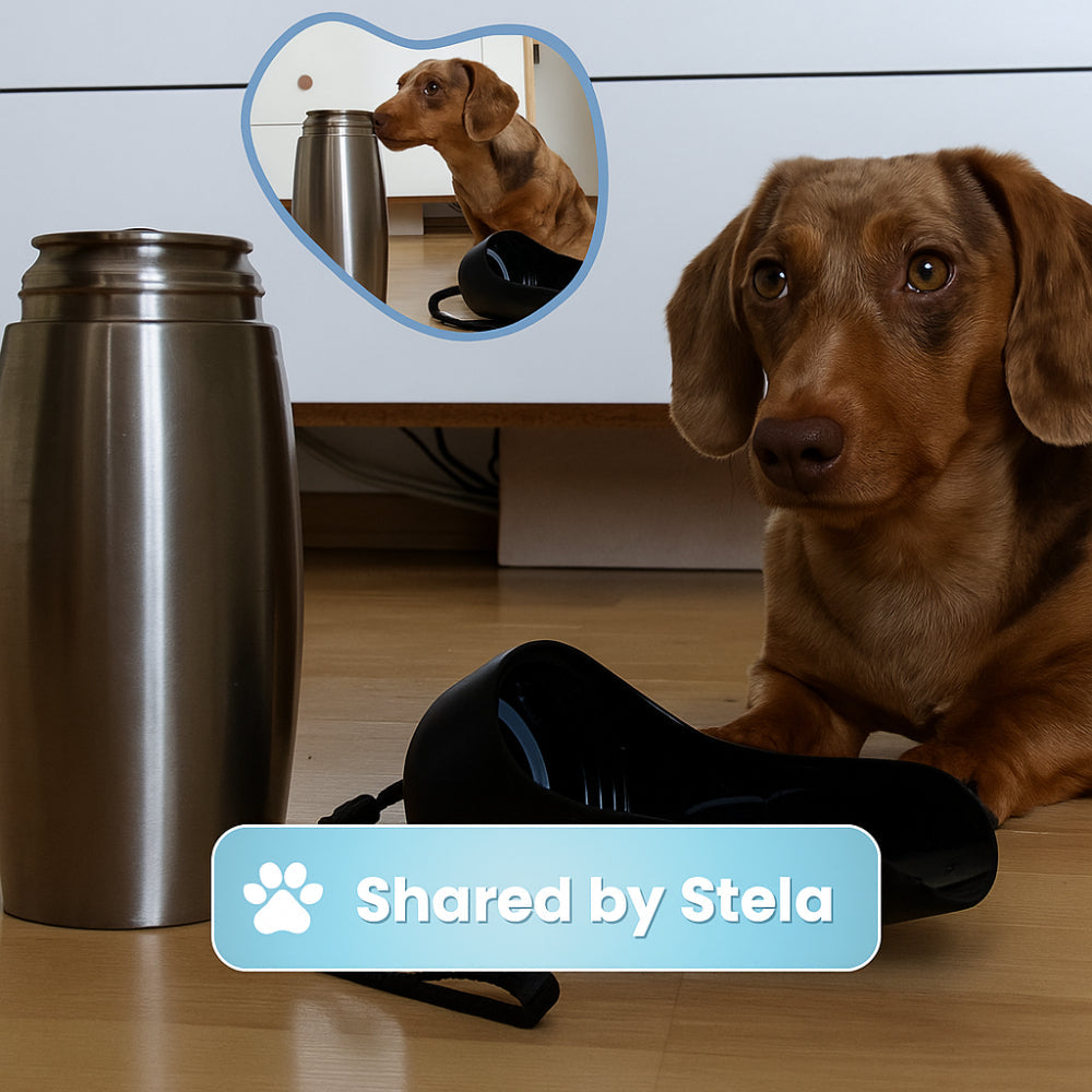 Stainless Steel Travel Dog Water Bottle