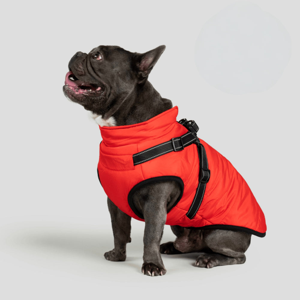 Chaqueta de invierno adaptable para perros de tres capas — Exterior resistente, forro térmico desmontable