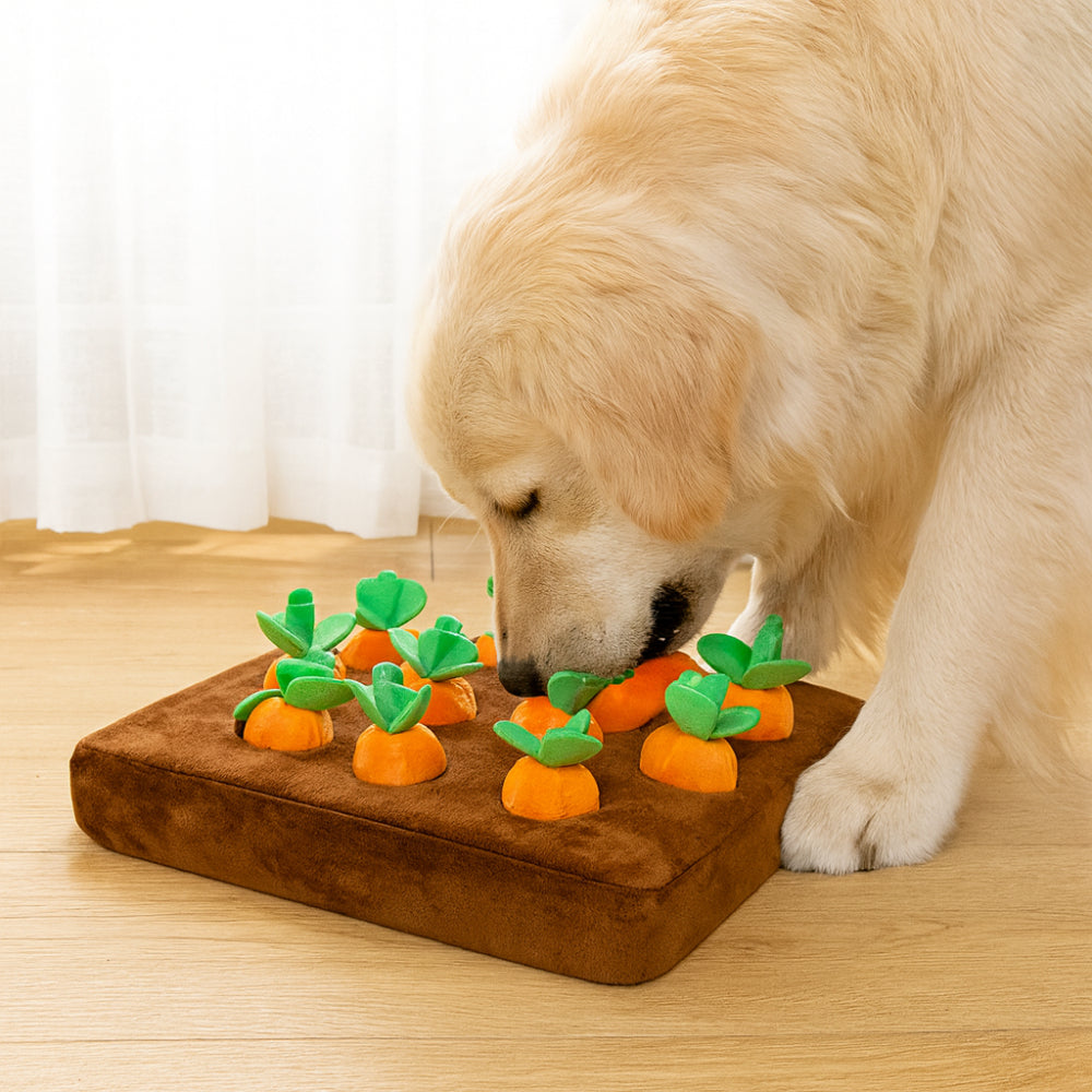 Dog Toy Snuffle Mat Interactive Treat Forage Design | Meowbutter