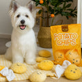 Schnüffelmatte für Hunde, interaktives Leckerli-Suchdesign | Meowbutter