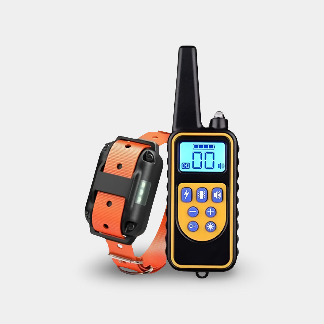 Collar de adiestramiento para perros con mando a distancia, recargable | Meowbutter