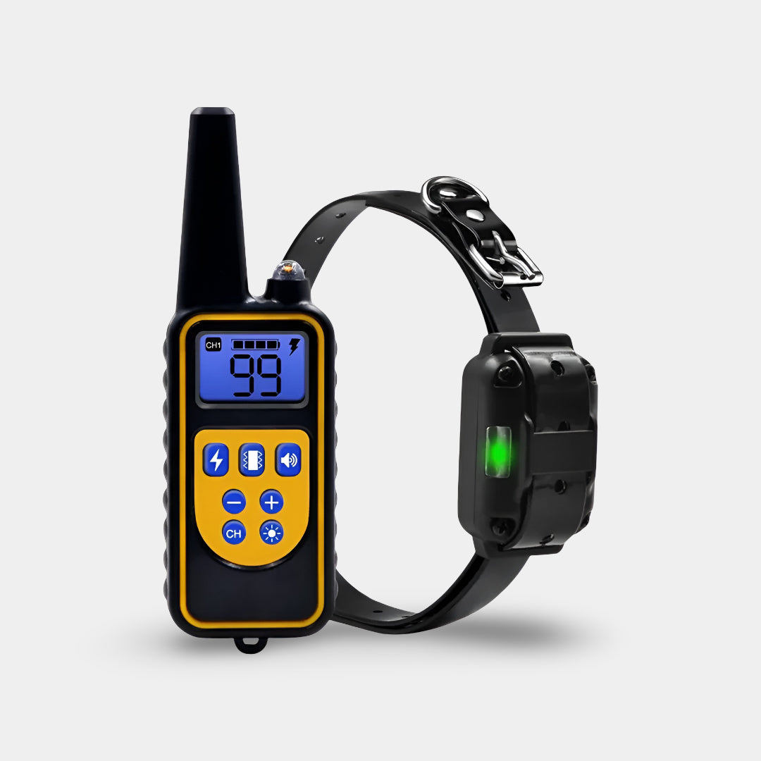 Collar de adiestramiento para perros con mando a distancia, recargable | Meowbutter