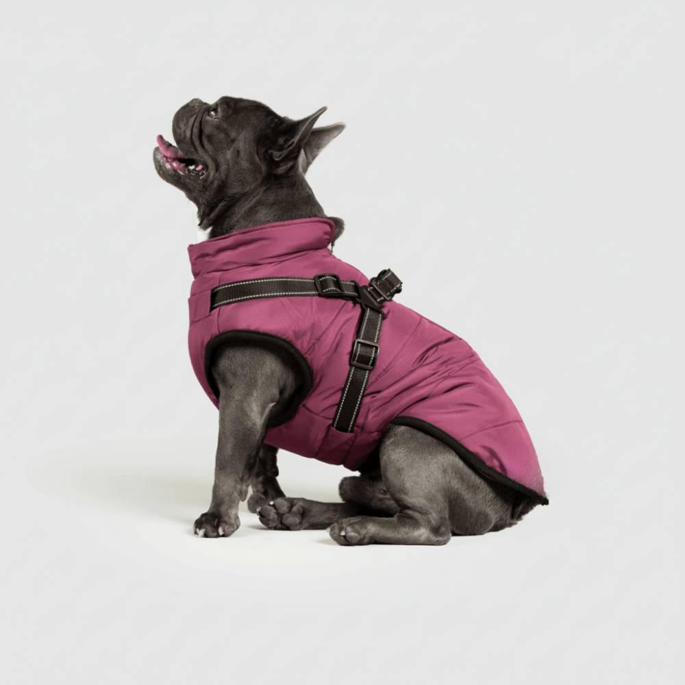 Zimní outdoorová bunda pro psy | Meowbutter