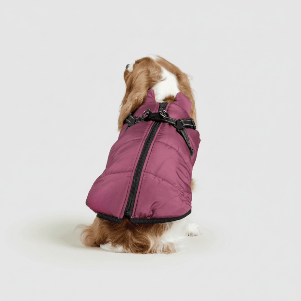 Zimní outdoorová bunda pro psy | Meowbutter