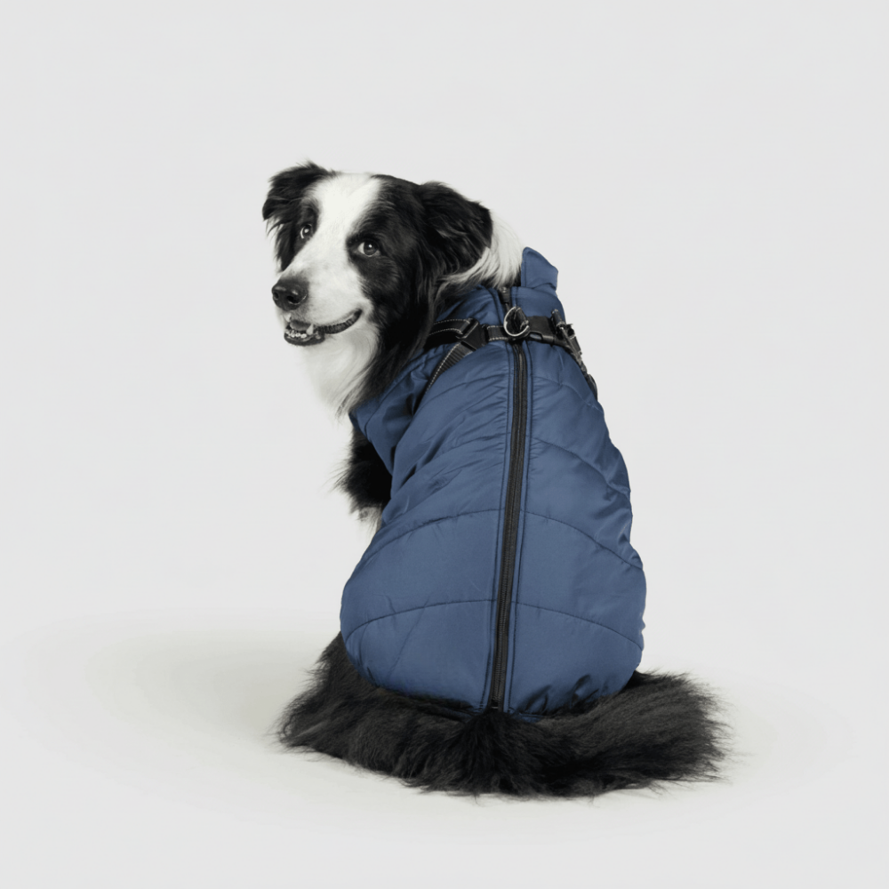 Zimní outdoorová bunda pro psy | Meowbutter