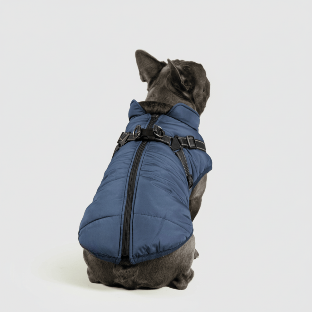 Zimní outdoorová bunda pro psy | Meowbutter