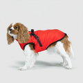 Chaqueta de invierno adaptable para perros de tres capas — Exterior resistente, forro térmico desmontable