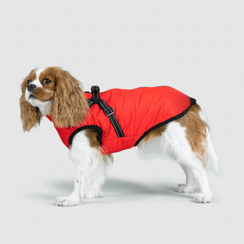 Chaqueta de invierno adaptable para perros de tres capas — Exterior resistente, forro térmico desmontable
