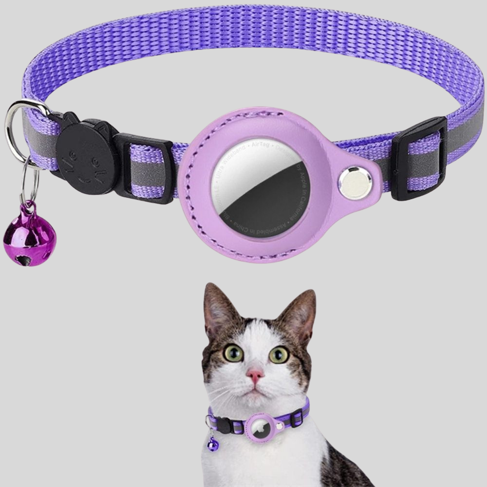 Collare per Gatto con Supporto GPS Riflettente, Staccabile e Regolabile | Meowbutter