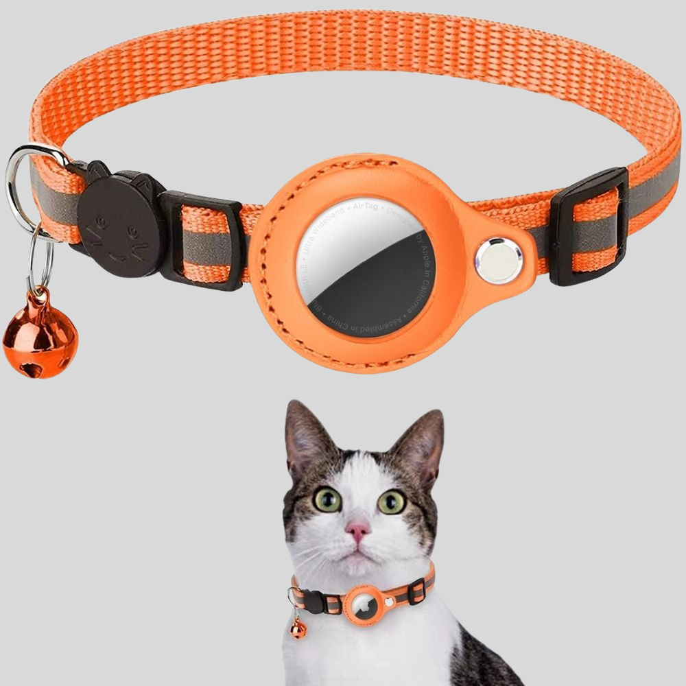 Collare per Gatto con Supporto GPS Riflettente, Staccabile e Regolabile | Meowbutter