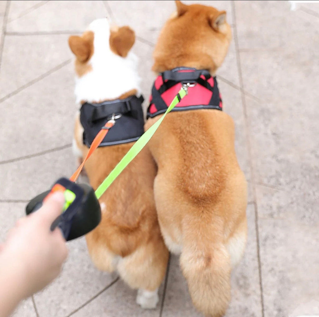 Dual Retractable Dog Leash for Walking Two Dogs with One Hand