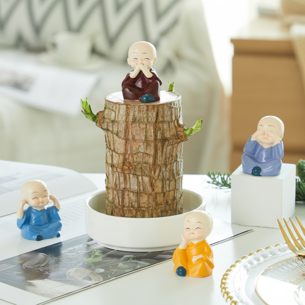 Pianta di bambù della fortuna viva in vaso decorativo