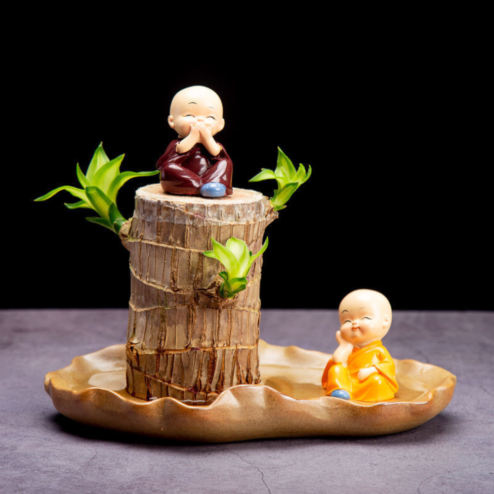 Pianta di bambù della fortuna viva in vaso decorativo