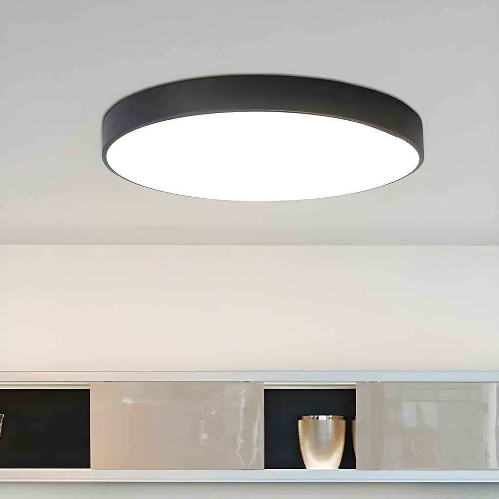Acrylic And Metal Ceiling Light With Adjustable Height