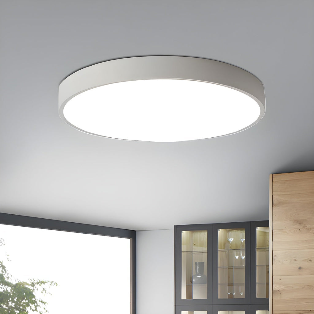 Acrylic And Metal Ceiling Light With Adjustable Height