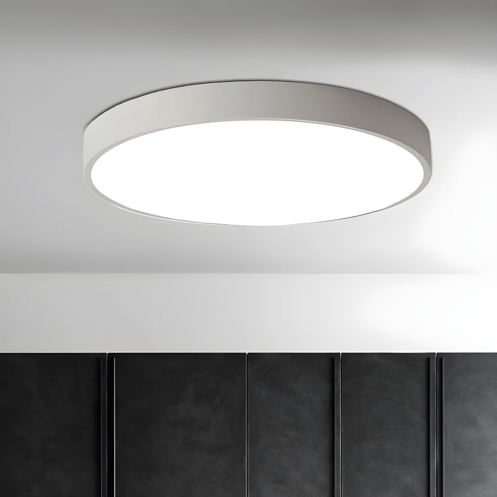 Acrylic And Metal Ceiling Light With Adjustable Height